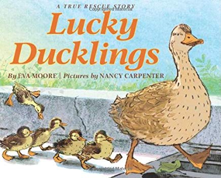 Lucky Ducklings by Eva Moore Illustrated by Nancy Carpenter