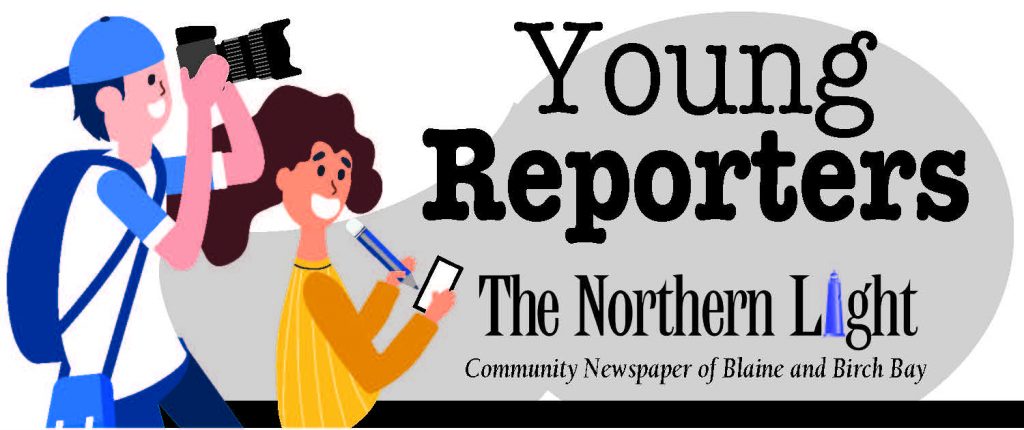Young Reporters - The Northern Light logo