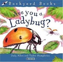 Are You a Ladybug by Judy Allen illustrated by Tudor Humphries