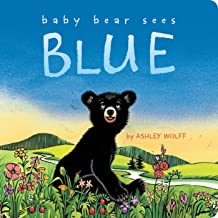 Baby Bear Sees Blue by Ashley Wolff