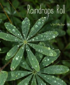 Raindrops Roll by April Pulley Sayre