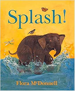 Splash! by Flora McDonnell