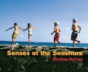 Senses at the Seashore by Shelley Rotner