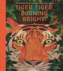 Tiger Tiger Burning Bright, selected by Fiona Waters, illustrated by Britta Teckentrup