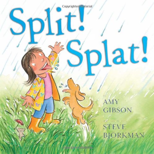 Split Splat by Amy Gibson and Steve Bjorkman
