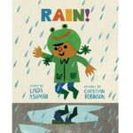 Rain by Linda Ashman, pictures by Christian Robinson