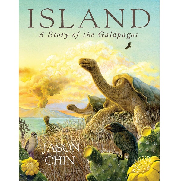 Island by Jason Chin