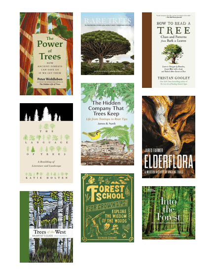 Tree List for Summer Reading