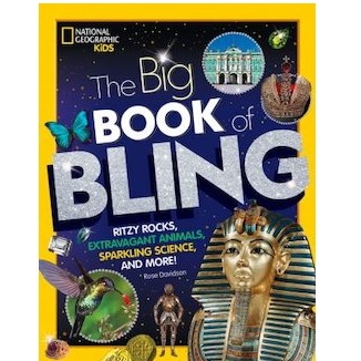 The Big Book of Bling by Rose M. Davidson