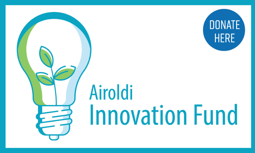 Airoldi Innovation Fund