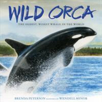 Wild Orca by Brenda Peterson; Wendell Minor