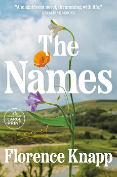 Cover image of "The Names" by Florence Knapp