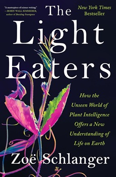 Cover image of "The Light Eaters: How the Unseen World of Plant Intelligence Offers a New Understanding of Life on Earth” by Zoë Schlanger