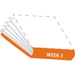 cartoon book with orange cover, Week 3