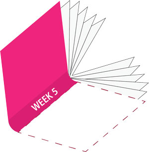 cartoon book with pink cover, Week 5