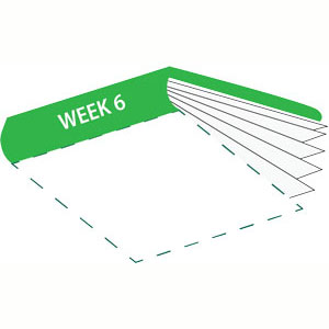 cartoon book with green cover, Week 6