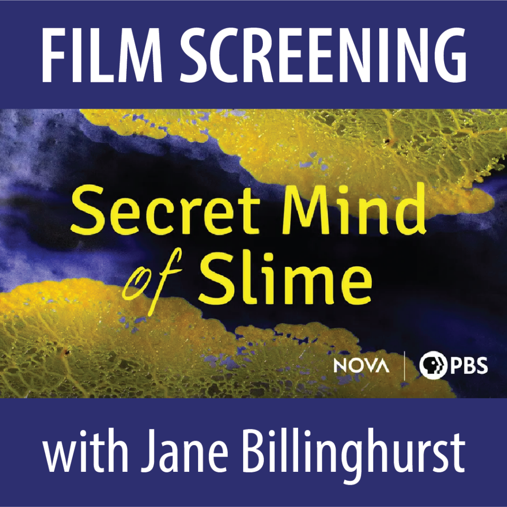 Film Screening: Secret Mind of Slime with Jane Billinghurst