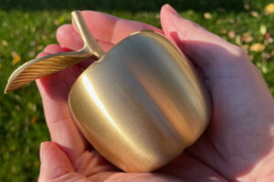 hands holding a gold apple