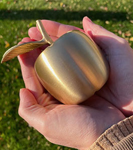 Golden Apple Award